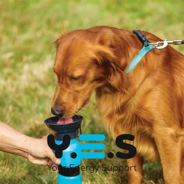 Дорожня поїлка-напувалка для собак Aqua Dog 537 мл