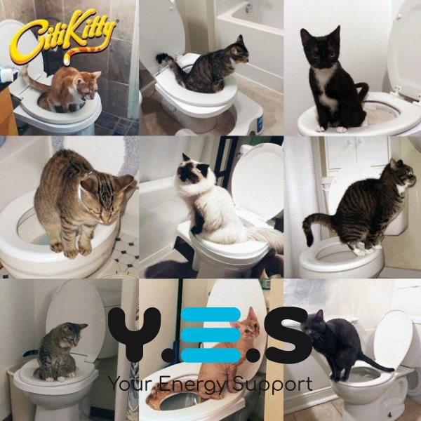Система привчання кота до унітазу Citi Kitty — тренажер-туалет для котів Cat Toilet Training