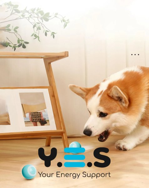 Інтерактивний м’ячик Pet Gravity для котів і собак, хаотичний рух, USB-зарядка