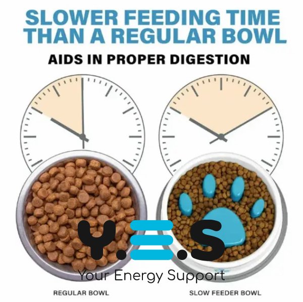 Годівниця-миска Paw Perfect Slow Feeder для повільного годування котів і собак