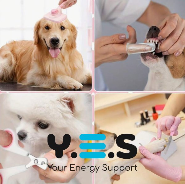 Набір для грумінгу домашніх тварин 6-в-1 — інструменти догляду за шерстю та кігтями