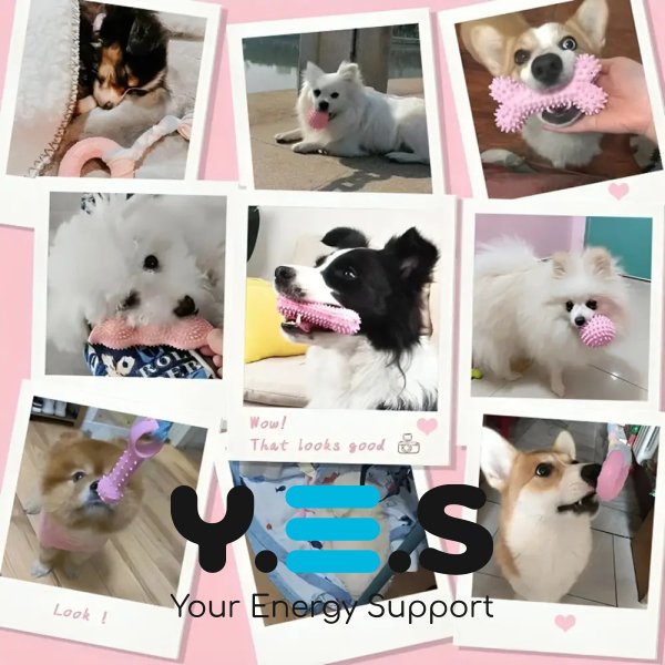 Іграшковий набір для собак 6-в-1: яскраві безпечні іграшки для активних ігор та розвитку