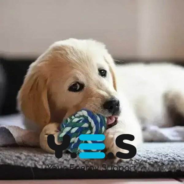 Ігровий набір для собак 17-в-1: універсальні іграшки для активних ігор і чищення зубів