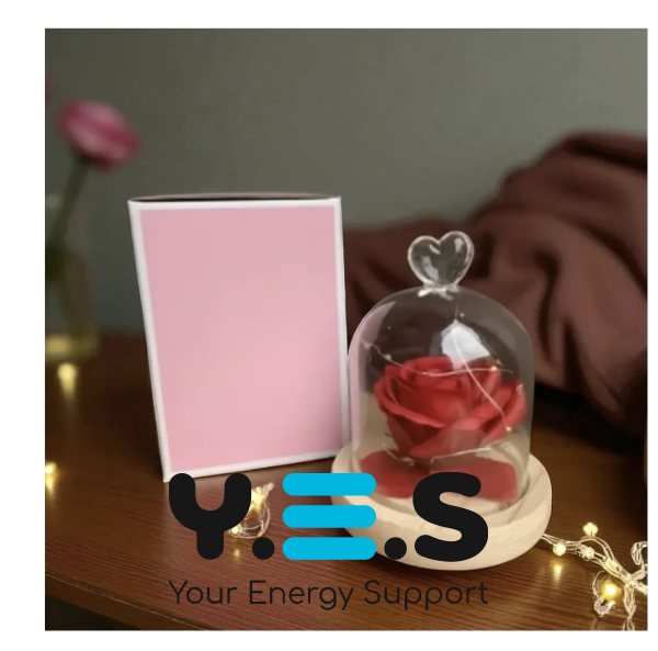 Бутон троянди в колбі під куполом — романтичний подарунок і стильний декор