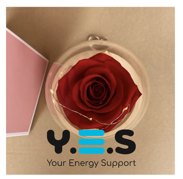 Бутон троянди в колбі під куполом — романтичний подарунок і стильний декор